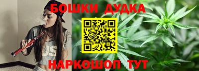 шишки Лесосибирск