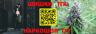 шишки Лесосибирск