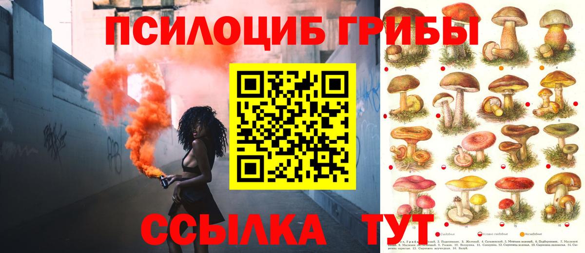 Гурьевск  Псилоцибиновые грибы мицелий  Вход с VPN 