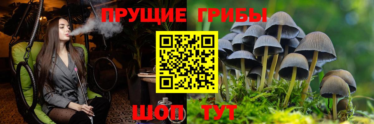 Псилоцибиновые грибы MAGIC MUSHROOMS Гурьевск